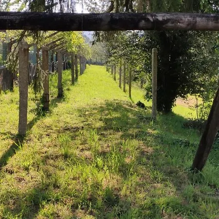 Bouzas 펜션 테오