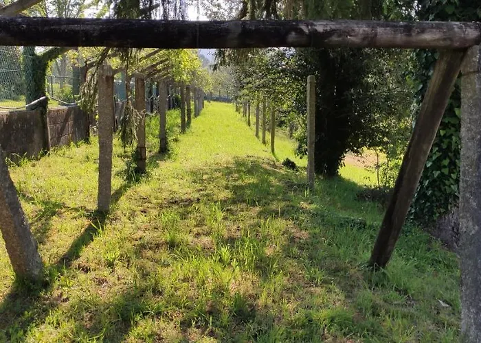 Bouzas Semesterbostad Teo